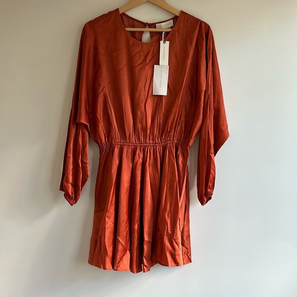 New With Tags Anthropologie Caballero Long-Sleeve Satin Animal Print Mini Dress - Picture 5 of 8